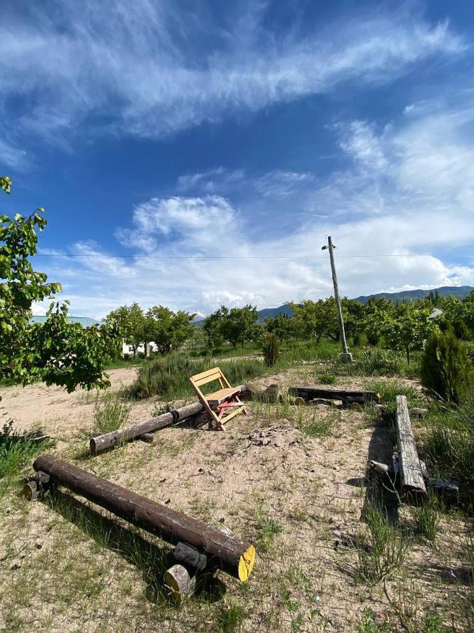 Eldos-Ata Eco Hotel Tosor エクステリア 写真