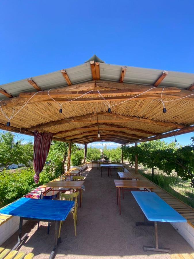 Eldos-Ata Eco Hotel Tosor エクステリア 写真