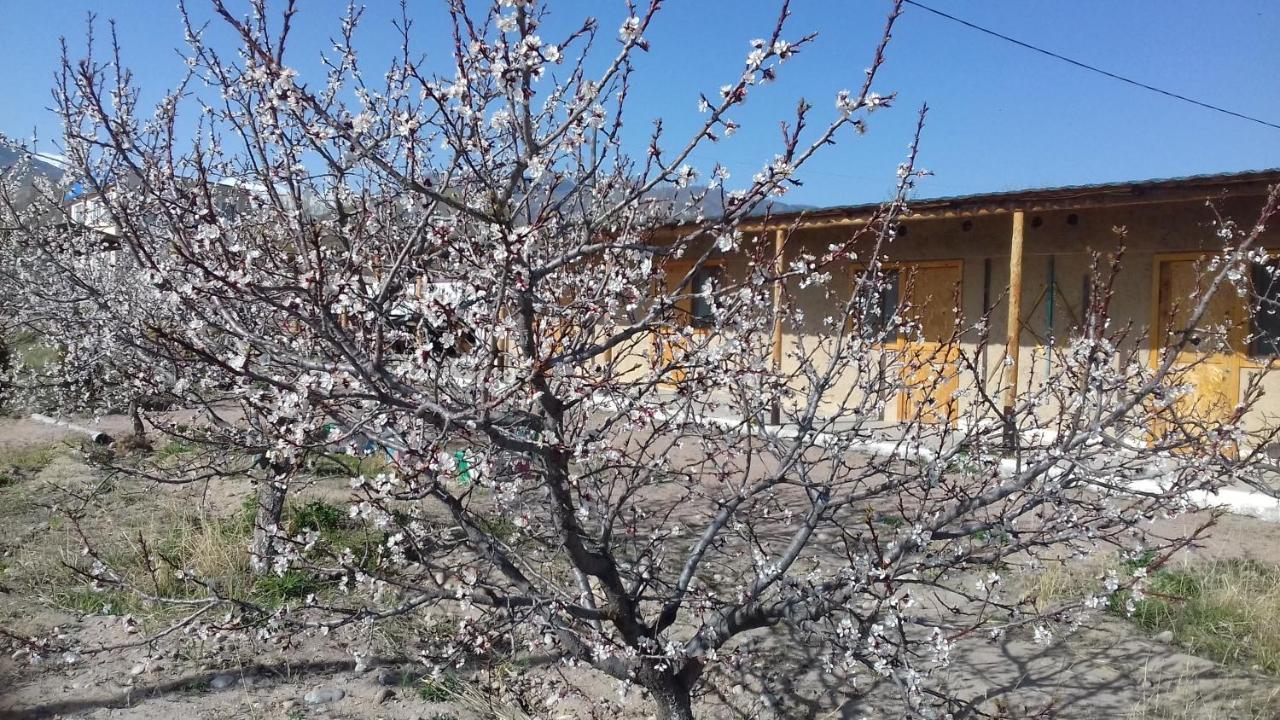 Eldos-Ata Eco Hotel Tosor エクステリア 写真