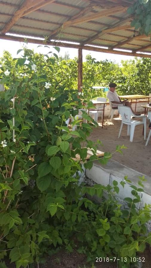 Eldos-Ata Eco Hotel Tosor エクステリア 写真
