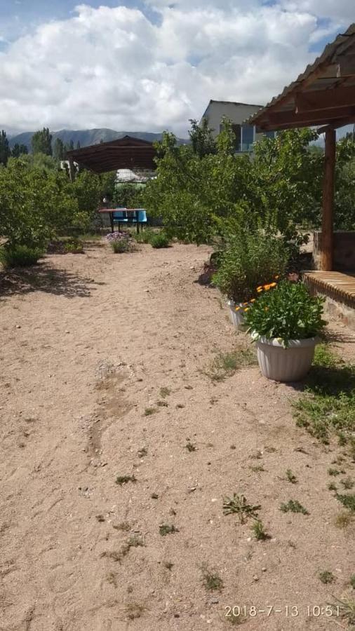Eldos-Ata Eco Hotel Tosor エクステリア 写真