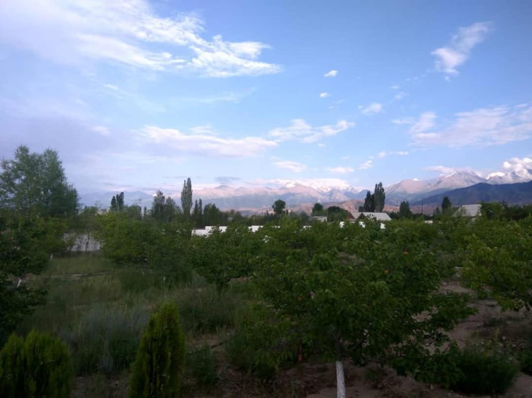 Eldos-Ata Eco Hotel Tosor エクステリア 写真